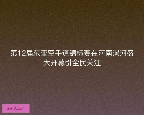 第12届东亚空手道锦标赛在河南漯河盛大开幕引全民关注