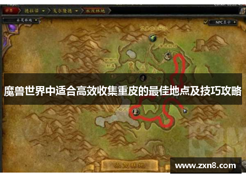 魔兽世界中适合高效收集重皮的最佳地点及技巧攻略
